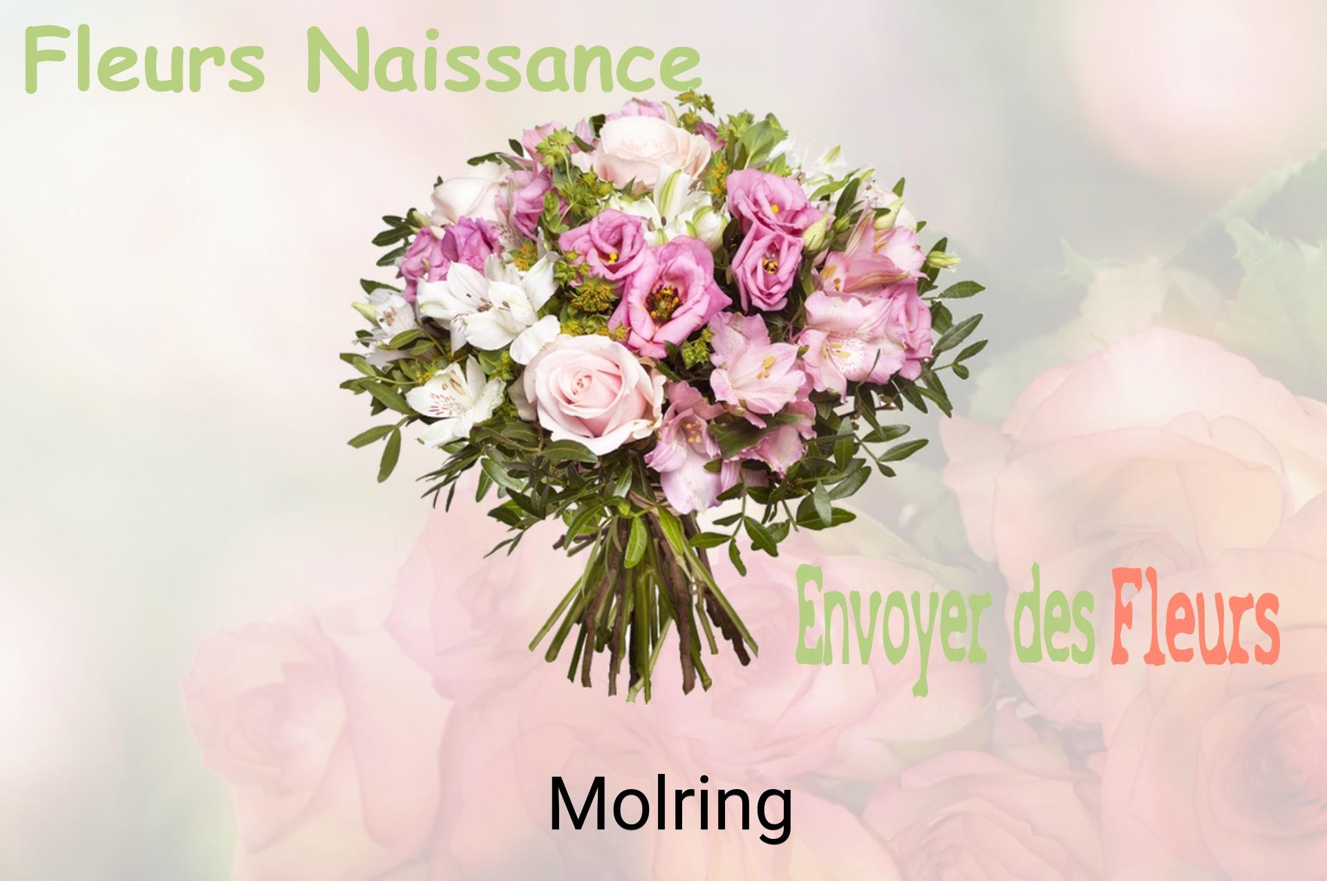 Bouquet de fleurs de naissance livré à Molring