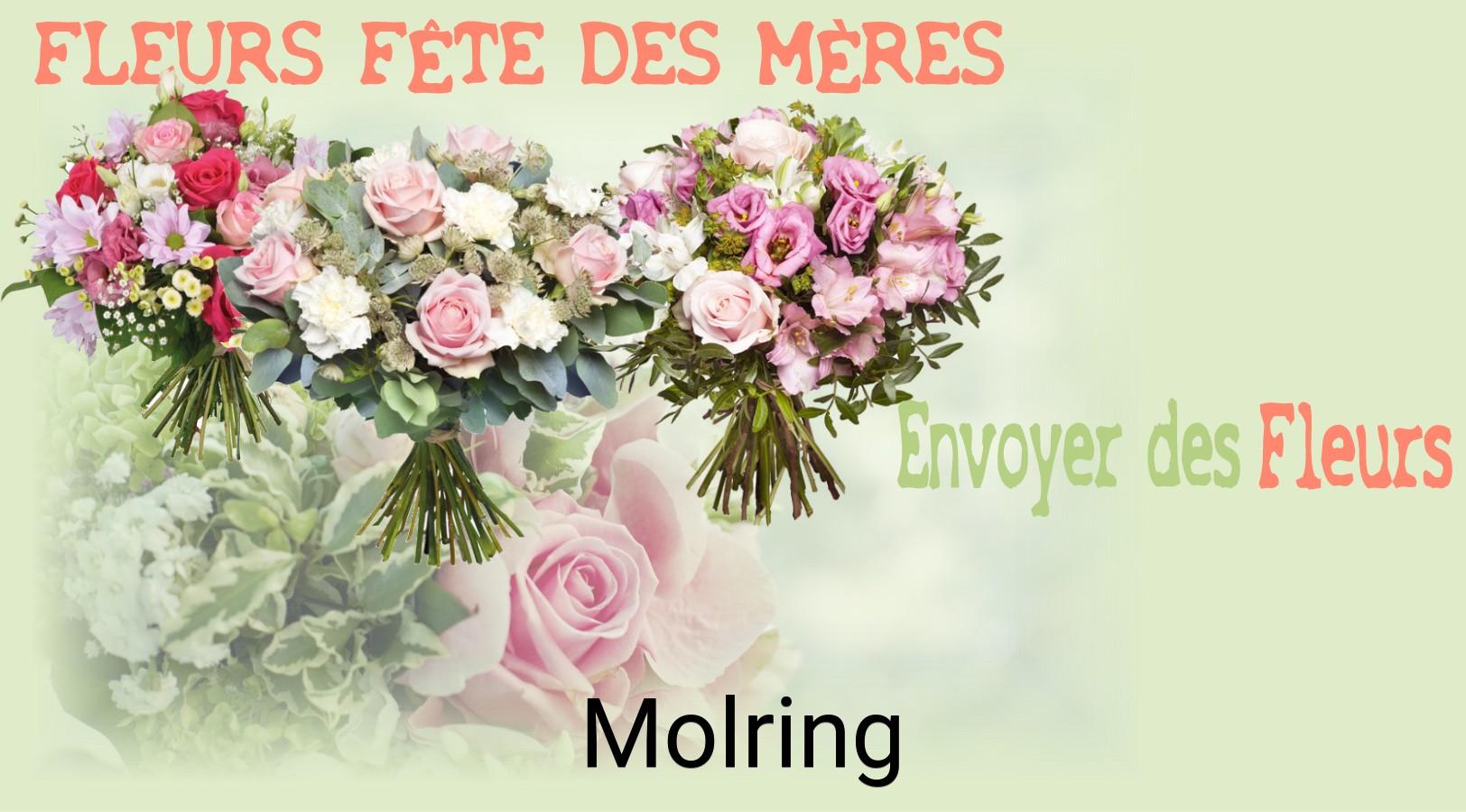 Bouquet de Fête des Mères livré à Molring